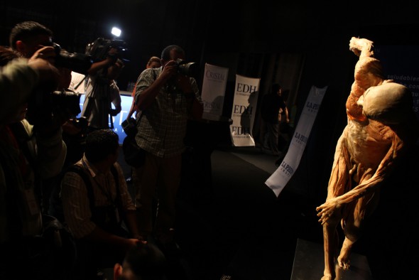 “Our Body”, una mirada al interior del cuerpo humano