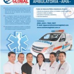 Asistencia Global