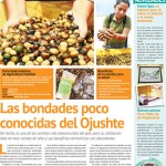 PAG VS-24 de julio-ok