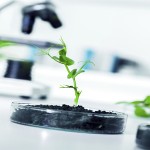 biotecnologia