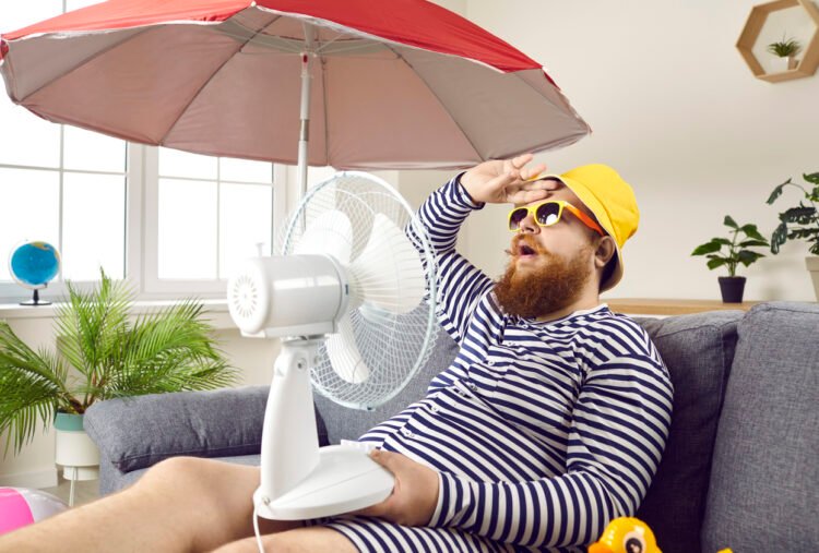 Combate el calor con estas bebidas