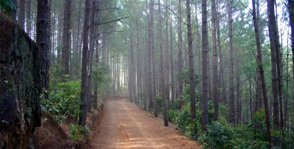 12 lugares para meditar y relajarse