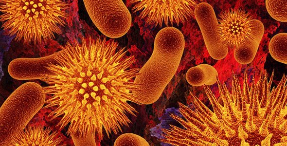 Un antibiótico destruye patógenos sin que desarrollen resistencia