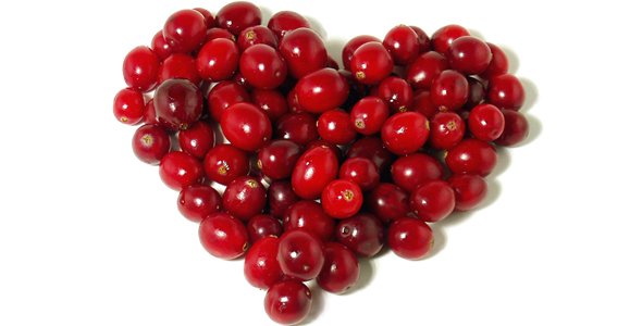 Efecto beneficioso de los arándanos en la salud cardiovascular