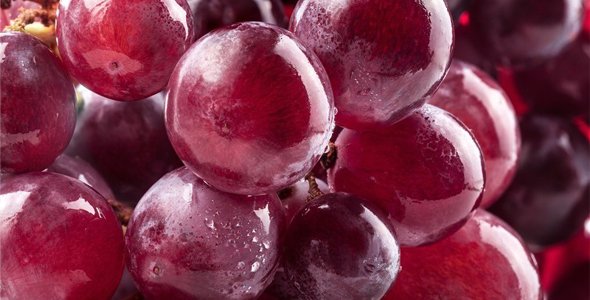 El resveratrol de las uvas combate la infertilidad por obesidad