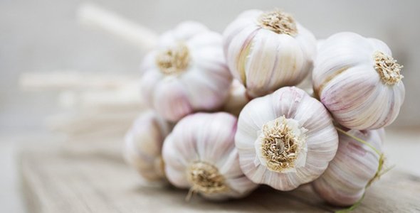 El ajo oculta una ayuda contra el alzhéimer