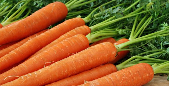 Los beneficios de la zanahoria para tu salud