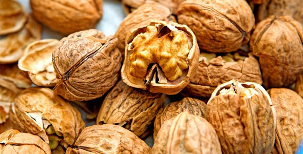 Dieta rica en nueces podría ralentizar el cáncer de colon