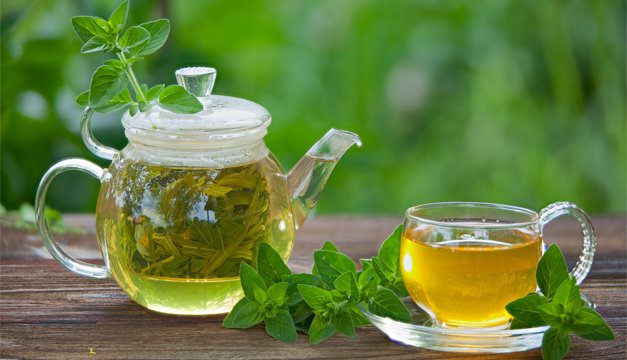 ¿Para qué sirve el orégano?