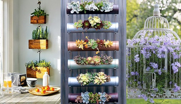 10 ideas fascinantes para decorar con plantas tu hogar