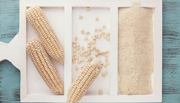 Maseca, la transformación del maíz más rica para tu nutrición