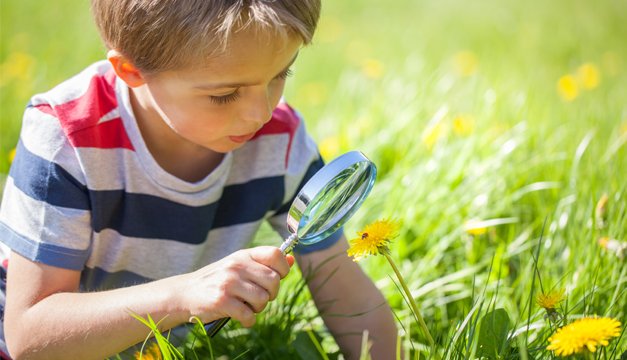 Importancia de inculcarle a tus hijos el contacto con la naturaleza