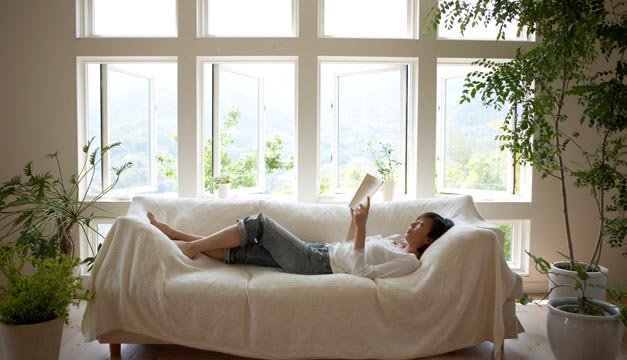 ¡Que no falten las plantas dentro del hogar!