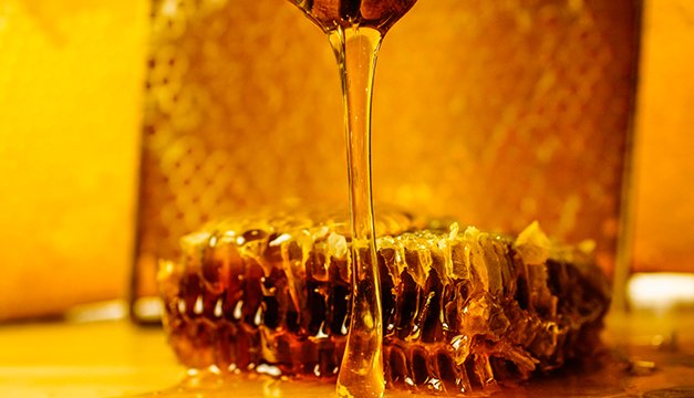 Productos naturales que combaten bacterias