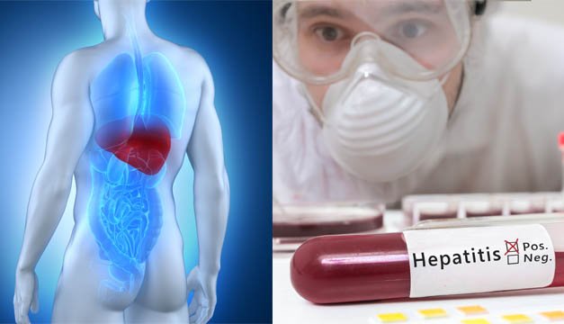 Células genéticas podrían curar la hepatitis B
