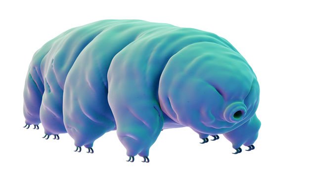 Descubren a un posible protector de nuestro ADN