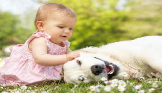 Bebés sanos con perros y gatos