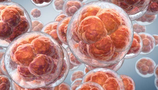 Metabolismo Celular un recurso para la prevención de enfermedades