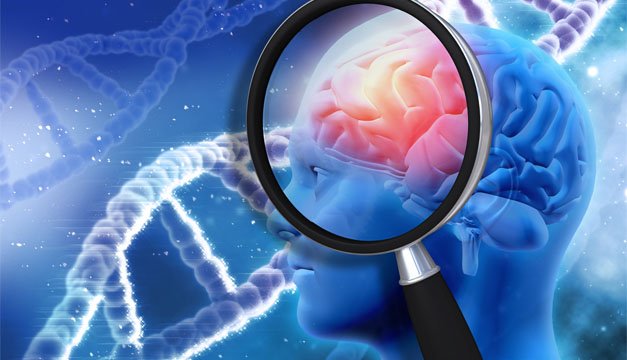 La cura del Alzheimer podría ser una proteína