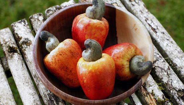 Llena tu vida de marañones