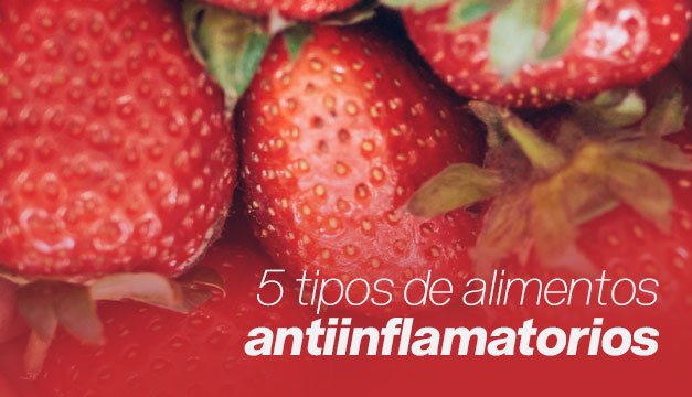 5 TIPOS DE ALIMENTOS ANTIINFLAMATORIOS QUE NO DEBEN FALTAR EN TU REFRIGERADORA