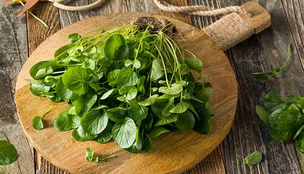 El berro, una gran fuente de vitaminas