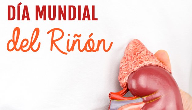 Día internacional del riñon