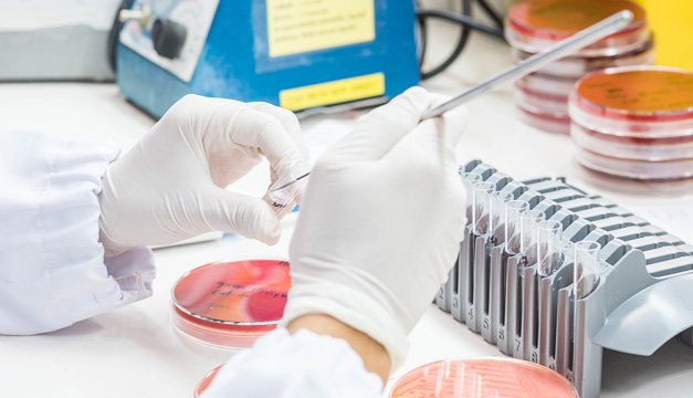 Según la OMS estas son las principales amenazas a la salud durante el 2019