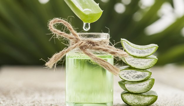 Múltiples beneficios que ofrece la sábila para tu salud