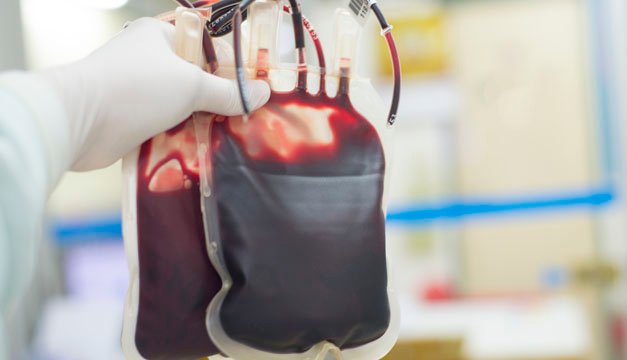 11 datos curiosos sobre la sangre que probablemente no conocías