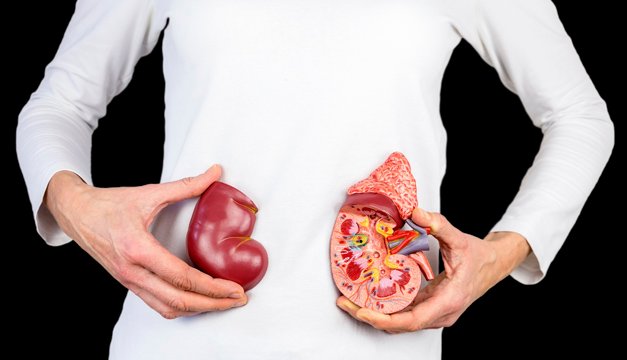 Estas son las causas NO tradicionales de la insuficiencia renal