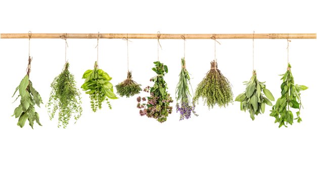 7 hierbas que te ayudan a tener una piel bella y un cuerpo saludable