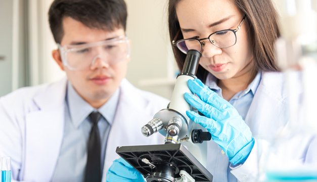 ¡Increíble! Japón comenzará a cultivar órganos humanos en animales