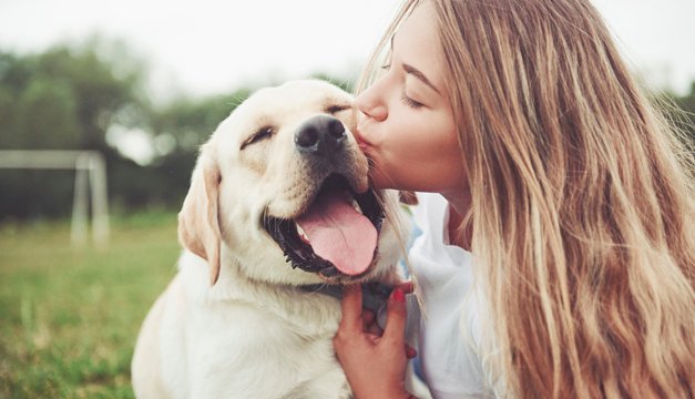 Puedes ganar la batalla contra la depresión con ayuda de tu mascota