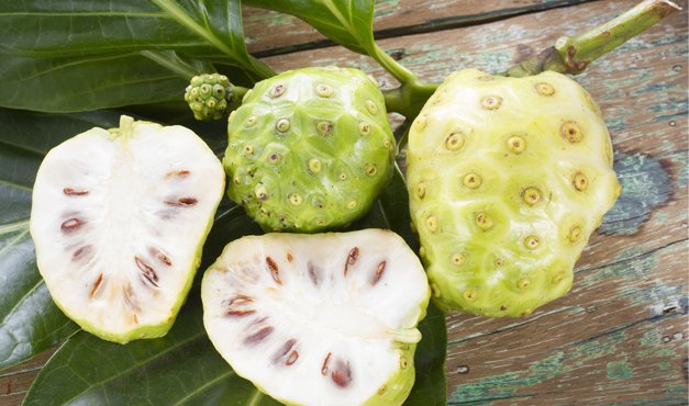 Noni: conocido como un potente anticancerígeno y un perfecto aliado para la salud