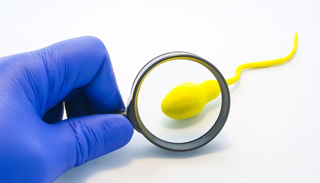 ¿Se puede sufrir impotencia después de una vasectomía?