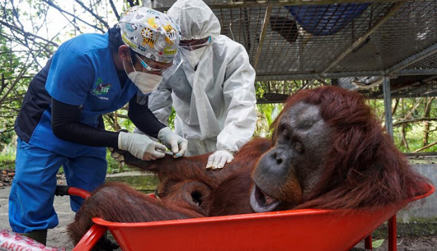 Visión borrosa y resequedad podrían alertar un accidente cerebrovascular