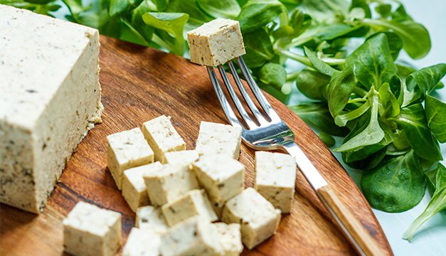 ¿Es realmente bueno comer queso? Esto dice la ciencia