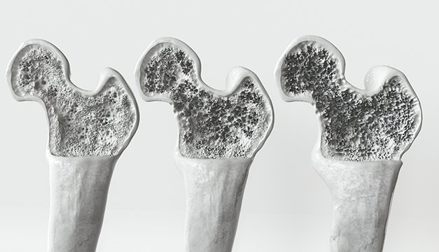 ¿Es realmente bueno comer queso? Esto dice la ciencia