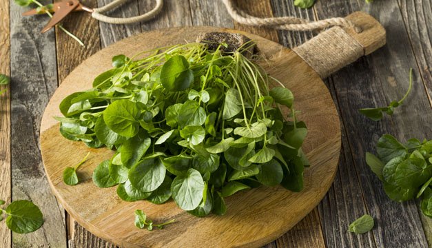 El berro, sus propiedades y múltiples beneficios