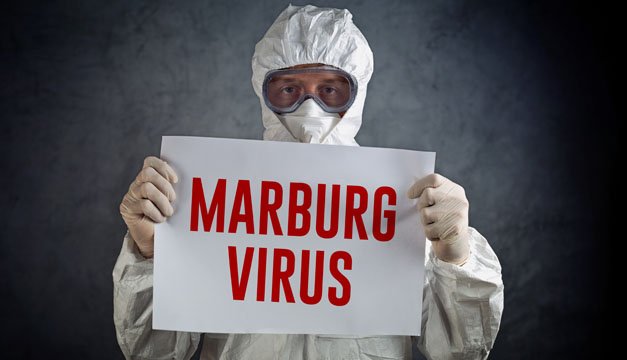 Al menos 9 muertos por fiebre hemorrágica de Marburgo en Guinea Ecuatorial