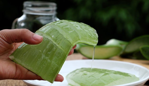 Increíbles beneficios del aloe vera que no conocías
