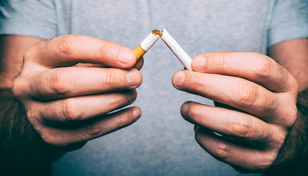 Conoce los alimentos orgánicos: La dieta que no devora la naturaleza