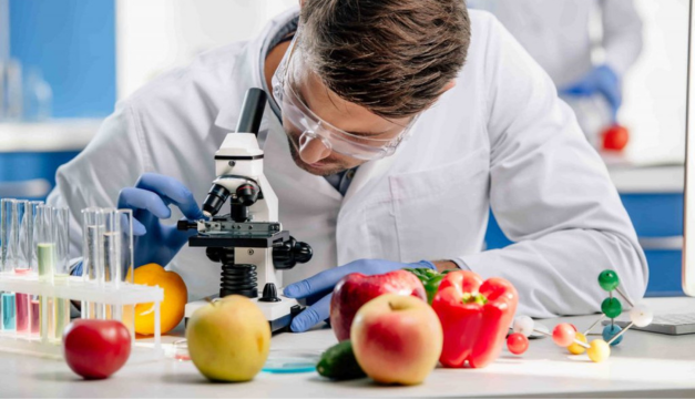 Efectos nocivos de los cultivos y alimentos transgénicos en la salud