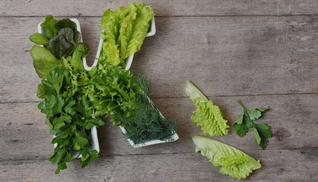 Sabías qué... la vitamina K reduce el envejecimiento prematuro