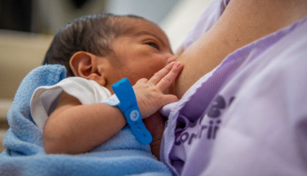 ¡Banderillazo de salida para Ley Amor Convertido en Alimento!