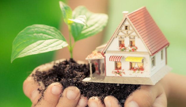 ¿Cómo hacer que tu hogar se convierta en un espacio ecoamigable?