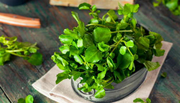 ¿Sabes cuál es el vegetal más saludable?