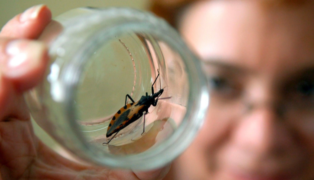 La enfermedad de Chagas, un diagnóstico que muchas veces llega tarde