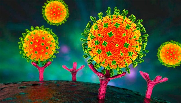 Regresa el letal virus Nipah ¿Qué es y cómo se transmite?